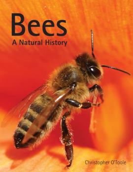 Hardcover Bees: A Natural History Book