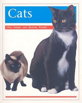 Paperback Pets: Cats: Individual Student Edition Orange (Levels 15-16) Book