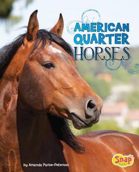 Paperback American Quarter Horses Book