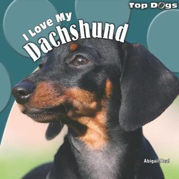 Paperback I Love My Dachshund Book