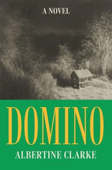 Hardcover Domino Book