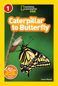 Paperback Caterpillar to Butterfly Book