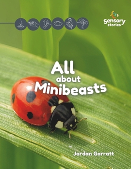 Paperback All about Minibeasts: A Sensory Story Book