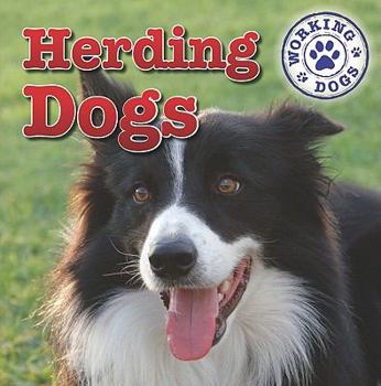 Herding Dogs - Book  of the Working Dogs