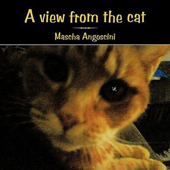 Paperback A View from the Cat Book