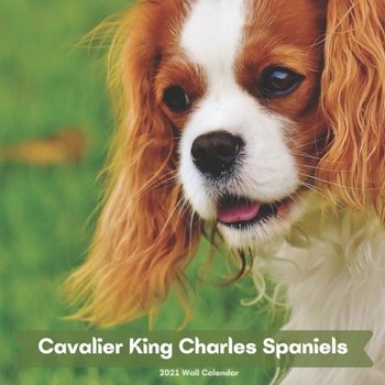 Paperback Cavalier King Charles Spaniels 2021 Wall Calendar: Dog Breed Calendar 2021 Book