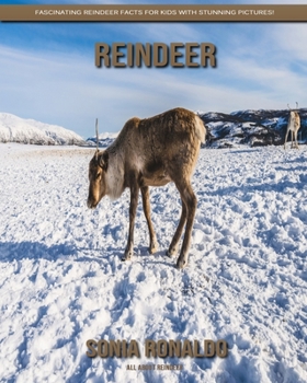 Paperback All About Reindeer: Fascinating Reindeer Facts for Kids with Stunning Pictures! Book