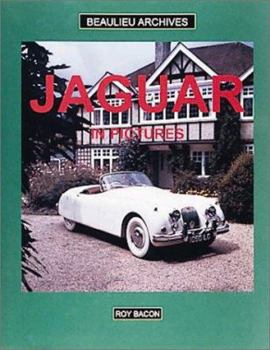 Hardcover Jaguar in Pictures Book