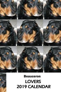 Paperback Beauceron Lovers 2019 Calendar Book
