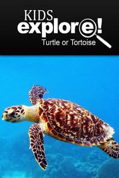 Paperback Turtle Or Tortoise - Kids Explore: Animal books nonfiction - books ages 5-6 Book