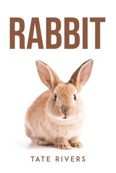 Paperback Rabbit Book
