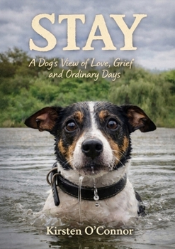 Paperback Stay: A Dog's View of Love, Grief, and Ordinary Days Book