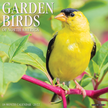 Calendar Garden Birds 2022 Wall Calendar Book