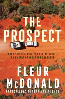 Paperback The Prospect Book
