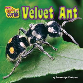 Library Binding Velvet Ant Book