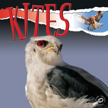 Paperback Kites Book