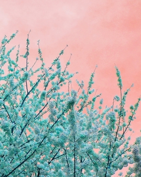 Journal: 200 Dot Grid Pages, 8x10 Inches, Cherry Blossoms, Pink/Green, Plan Your Day and Organize Your Life, Tracker, Productivity Diary, Notebook