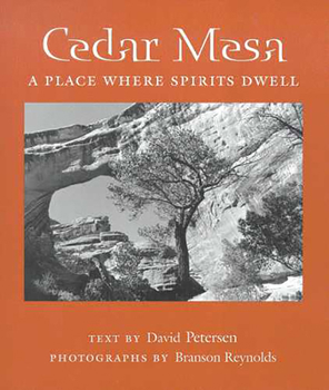 Paperback Cedar Mesa: A Place Where Spirits Dwell Book