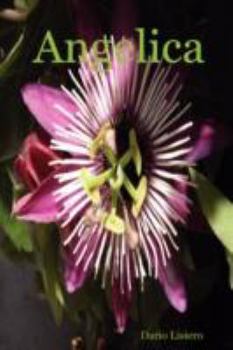 Paperback Angelica [Italian] Book