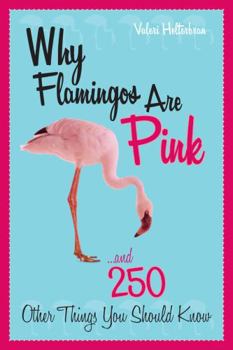 Paperback Why Flamingos Are Pink: ...and 250 Other Things You Should Know Book