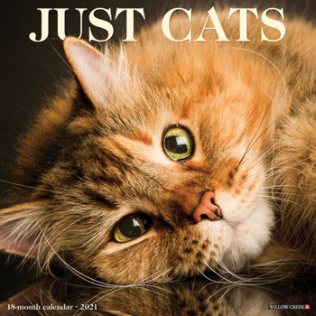 Calendar Just Cats 2021 Wall Calendar Book
