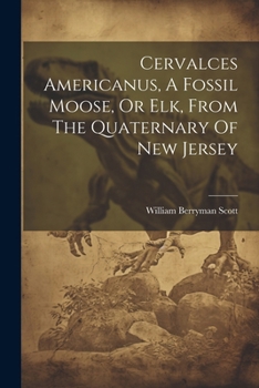 Paperback Cervalces Americanus, A Fossil Moose, Or Elk, From The Quaternary Of New Jersey Book