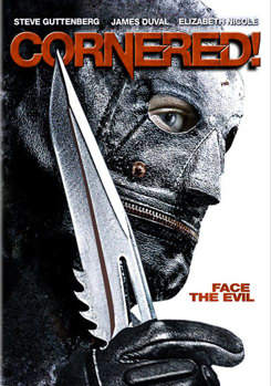 DVD Cornered! Book
