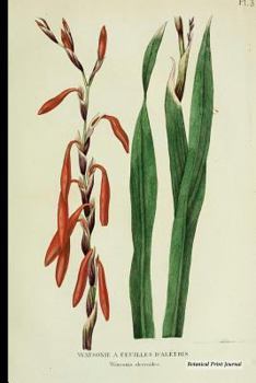 Botanical Print Journal: watsonia aletroides, 6" x 9" Vintage Botanical Flower Print Journal - [Unruled/Blank/Plain/Unlined Journal]