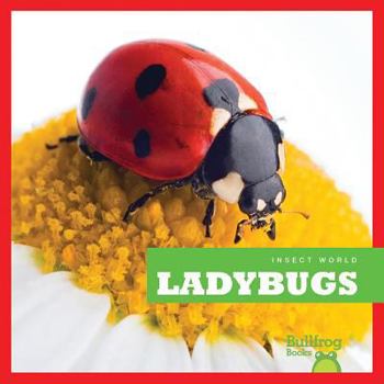 Library Binding Ladybugs Book