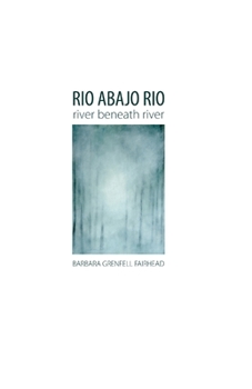 Paperback Rio Abajo Rio Book