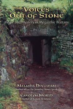 Paperback Voices Out of Stone: Magic and Mystery in Megalithic Brittany Book