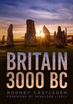 Paperback Britain 3000 BC Book