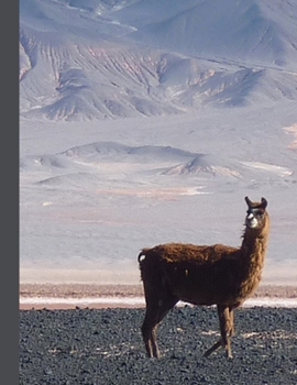 Daily Diary: Blank 2020 Journal Entry Writing Paper for Each Day of the Year | Llama Alpaca Stud | January 20 - December 20 | 366 Dated Pages | A ... Your Life, Set Goals & Get Things Done