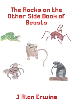 Paperback The Rocks on the Other Side Book of Beasts Book