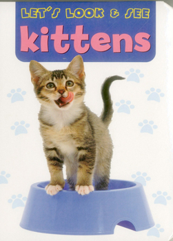 Board book Let's Look & See: Kittens Book