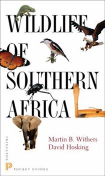 Paperback Wildlife of Southern Africa Book