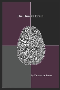 Paperback The Human Brain Book