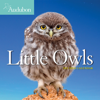 Calendar Audubon Little Owls Mini Wall Calendar 2021 Book