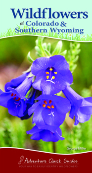 Spiral-bound Wildflowers of Colorado & Southern Wyoming: Your Way to Easily Identify Wildflowers Book