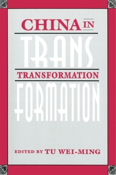 Paperback China in Transformation Book