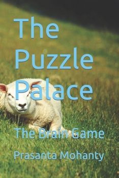 Paperback The Puzzle Palace: The Brain Game Book