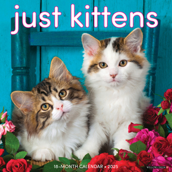 Calendar Just Kittens 2025 12 X 12 Wall Calendar Book