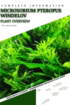 Microsorium Pteropus Windelov: From Novice to Expert. Comprehensive Aquarium Plants Guide