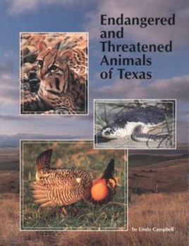 Paperback Endangered and Threatened Animals of Texas: Their Life History and Management Book