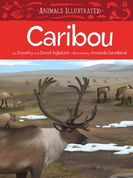 Hardcover Animals Illustrated: Caribou Book