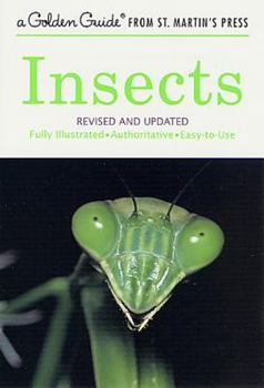 Paperback Insects: Revised and Updated Book