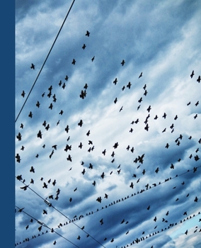 Lined Notebook: Composition Book or Journal; Blue Sky Filled With Birds