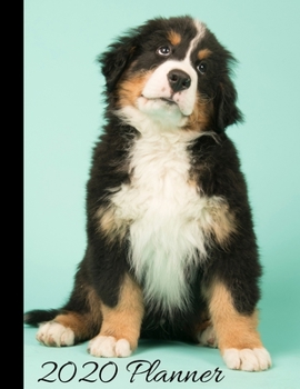 2020 Planner: Bernese Mountain Dog Cover - 2020 Weekly Planner Organizer Dated Calendar And ToDo List Tracker Notebook