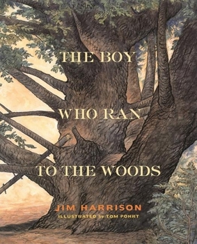 Hardcover The Boy Who Ran to the Woods Book