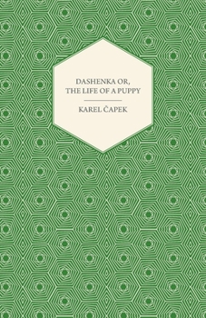 Paperback Dashenka Or, the Life of a Puppy Book